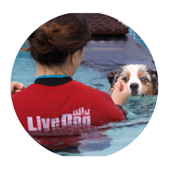 Una donna con una maglietta rossa con un cane in una piscina.