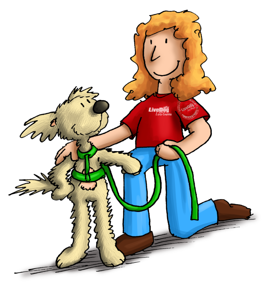 Una donna con una maglietta rossa e jeans accarezza un cane felice che tiene un guinzaglio verde, entrambi illustrati in stile cartone animato.