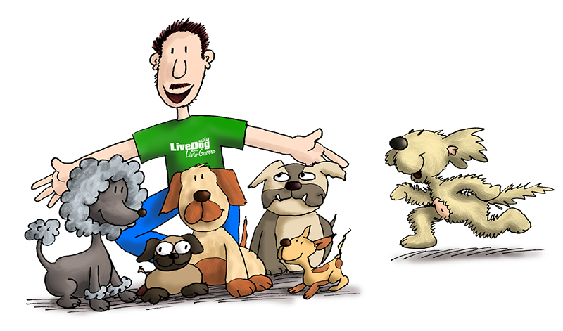 Un giovane con una camicia verde circondato da cinque cani giocosi di varie razze, tra cui un barboncino e un bulldog, in un'illustrazione in stile cartone animato.