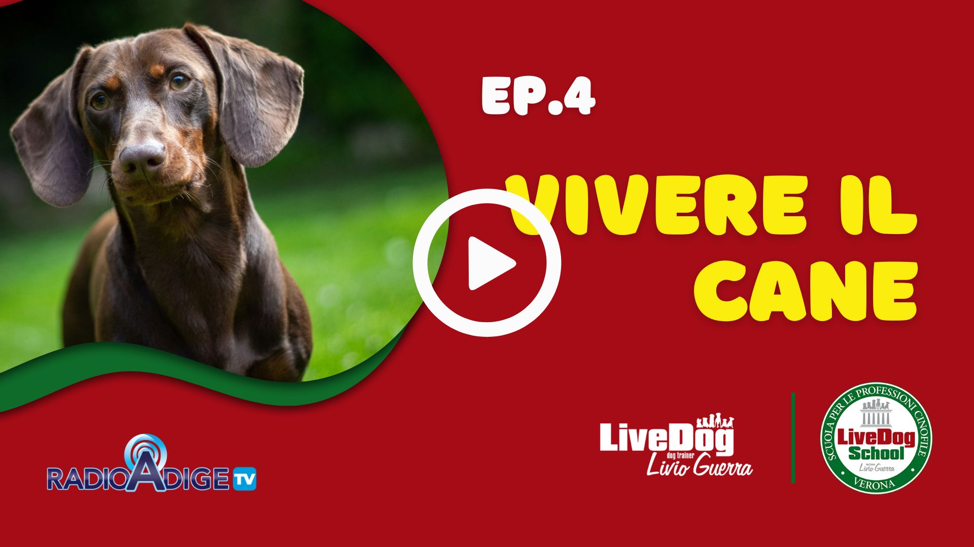 Immagine che promuove un video intitolato "Vivere il Cane", episodio 4, in cui sono raffigurati un cane e vari loghi su uno sfondo rosso.