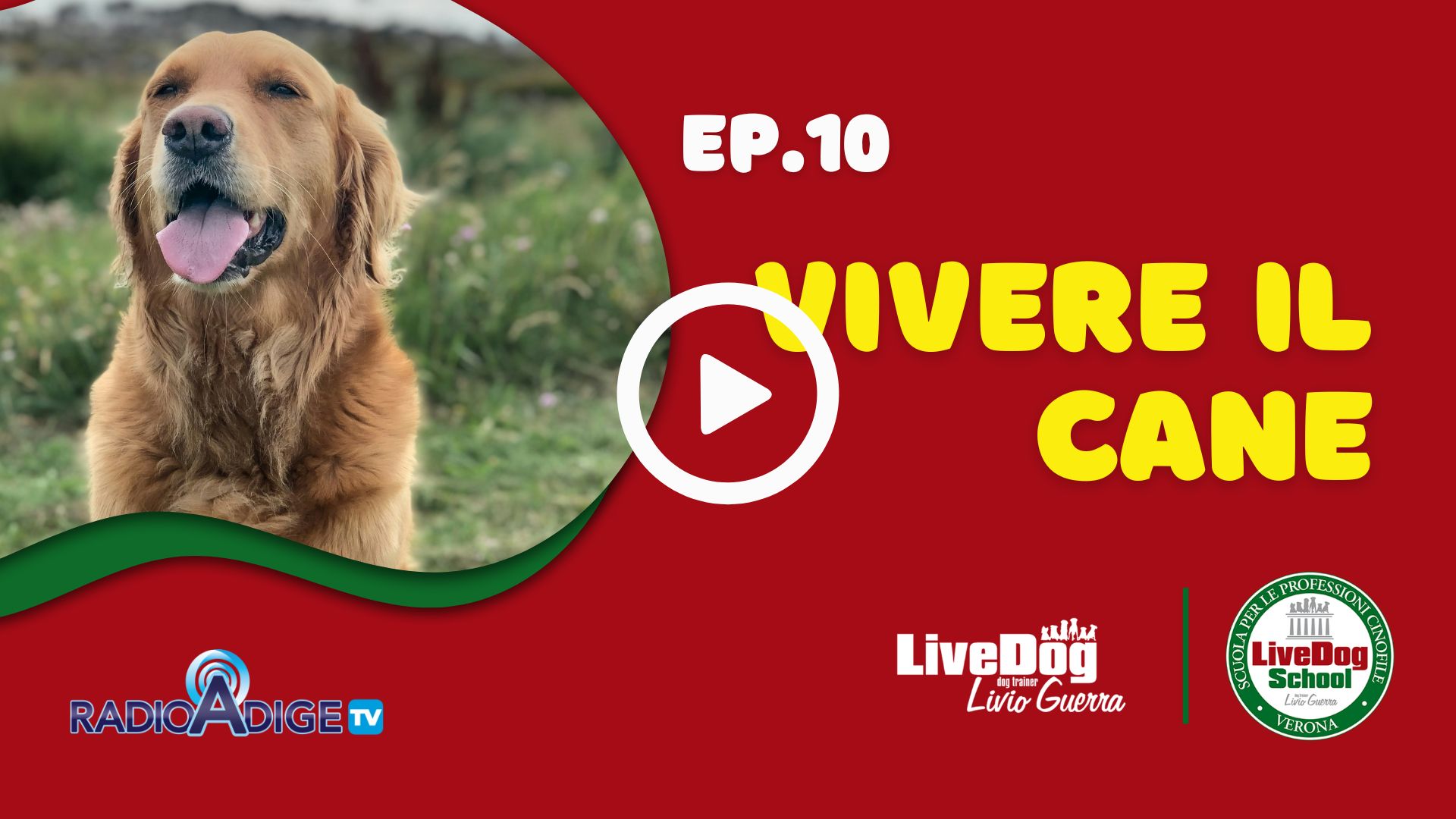 Manifesto del programma televisivo raffigurante un golden retriever con la bocca aperta, la scritta "EP.10 Vivere Il Cane" e i loghi di Radio Adige TV, LiveDog Livio Guerra e LiveDog School.