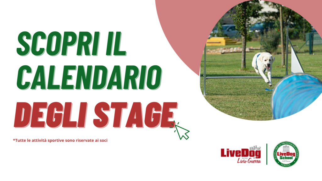 Banner promozionale per LiveDog School raffigurante un cane che salta un ostacolo. Il testo in italiano recita: "Scopri il calendario dei seminari". Logo e disclaimer inclusi.