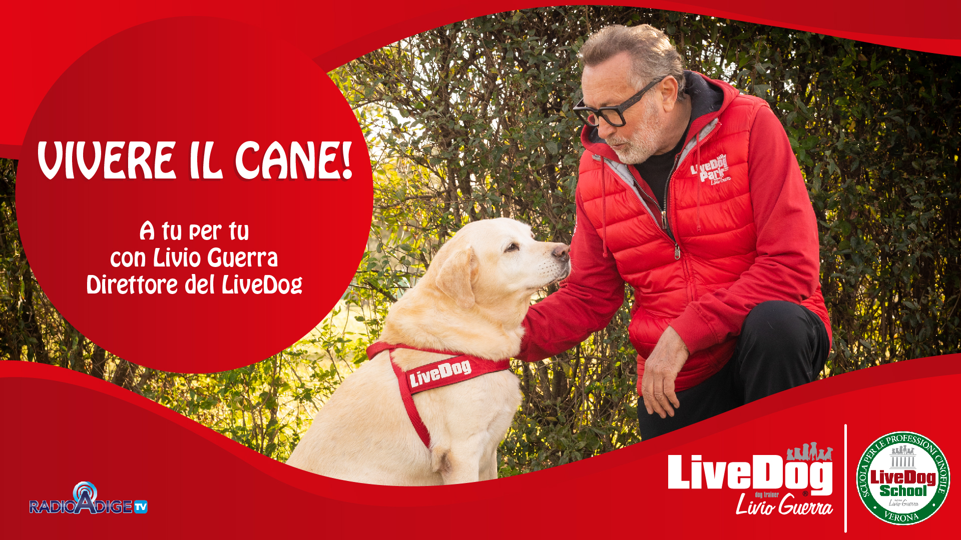 Un uomo con la giacca rossa si inginocchia accanto a un Labrador giallo che indossa un'imbracatura "LiveDog". Il testo recita: "Vivere il Cane! A tu per tu con Livio Guerra Direttore del LiveDog." Sfondo rosso.